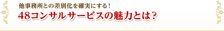 48コンサルサービスの魅力とは？