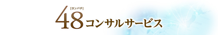 48コンサルサービス